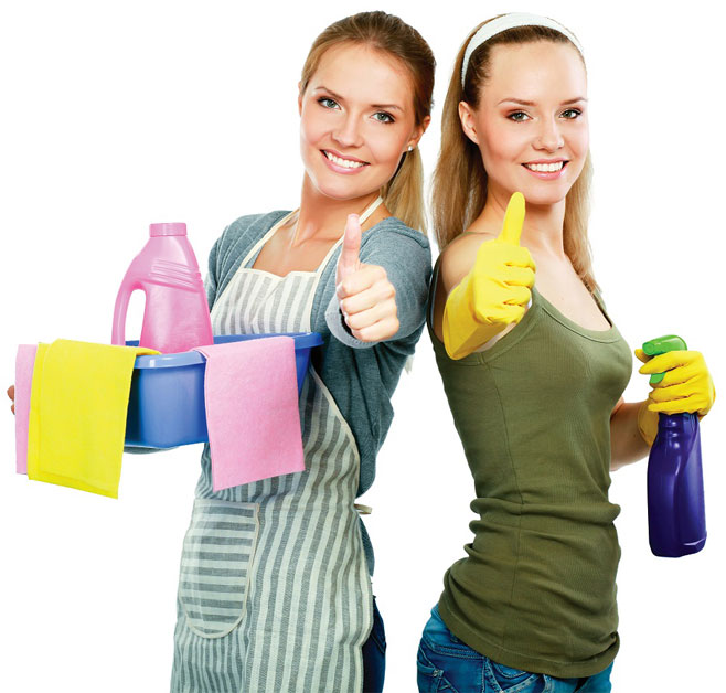 Professional pest control team in Zirakpur