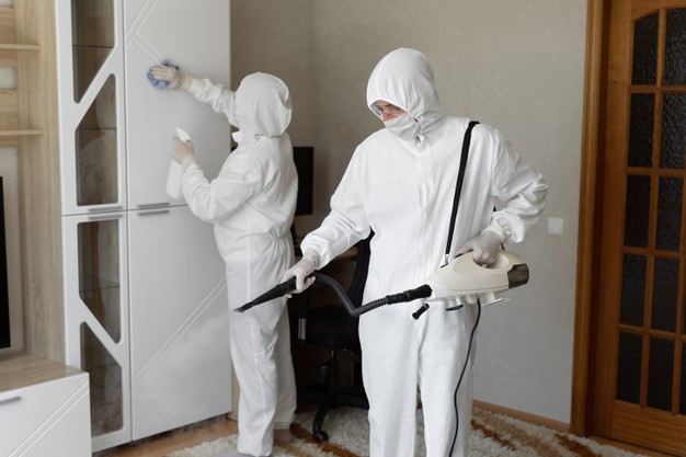 sanitizing your house