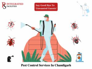 Pest-Control-Services-In-Chandigarh
