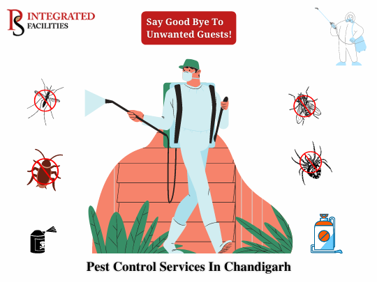 pest control services