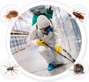 Pest Control Services in Tricity