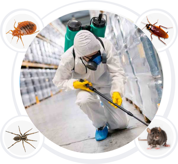Pest Control Services in Tricity